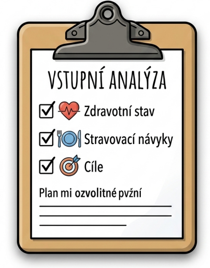 Vstupní konzultace